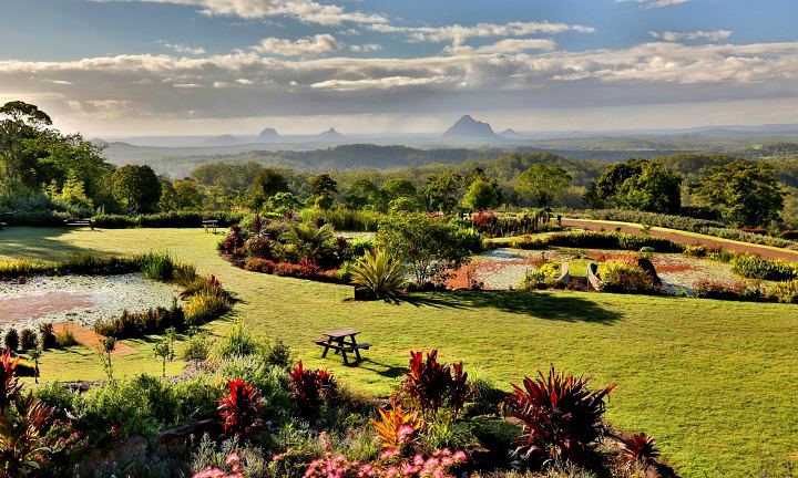 A garden with a view of the mountains in Australia.